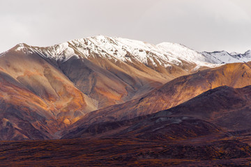 Wall Mural - Fall Color Snow Capped Peak Alaska Range Fall Autumn Season