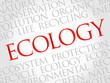 © dizain - Ecology word cloud, environmental concept