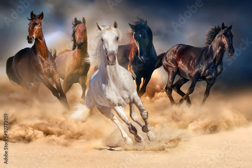 Fototapeta na wymiar Horse herd run in desert sand storm against dramatic sky