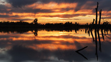 Sunset At A Wetlands Conservation Area