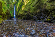Beautiful Nature In Oneonta Gorge Trail, Oregon.