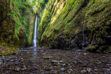 Beautiful Nature In Oneonta Gorge Trail, Oregon.