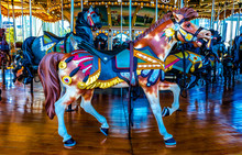 Horse Carousel NYC 8