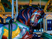 Horse Carousel NYC 3