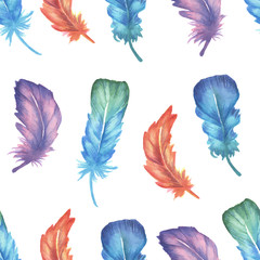 Wall Mural - watercolor feather seamless pattern