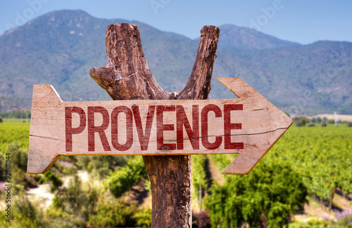 Stampa su Tela  Provence wooden sign with winery background