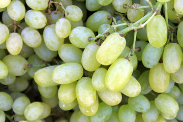  Текстура белого винограда