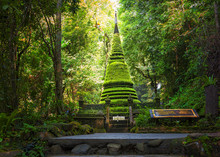Amazing Beautiful Pagoda ยฟพะ นด Waterfalls In Deep Forest At Phlio Waterfall In Namtokphlio National Park,Chantaburi Province, Thailand.