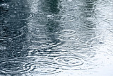 Fototapeta  - rain drops background