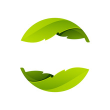 Abstract Sphere Green Leaf Logo