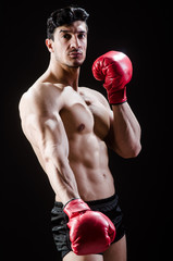 Wall Mural - Muscular man in boxing concept