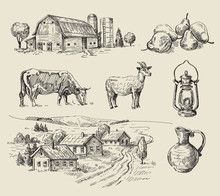 Farm And Animals Hand Drawn