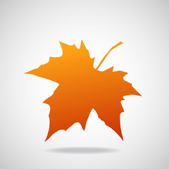 Wall Mural - silhouette of the maple leaf. canadian symbol. vector illustration. eps 10