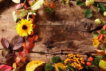 Wall Mural - Autumn border with berries, leaves and flowers