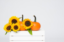 Pumpkin And Sunflower On A White Crate
