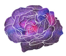 Cosmic Rose. Hand-drawn Flower With Galaxy.