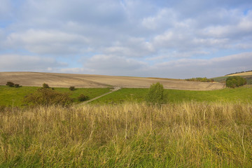 Poster - yorkshire landscape in autumn