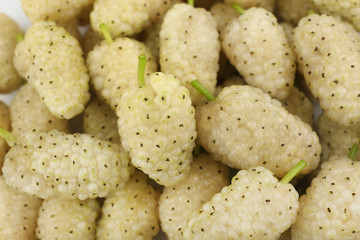 Fresh mulberry, closeup