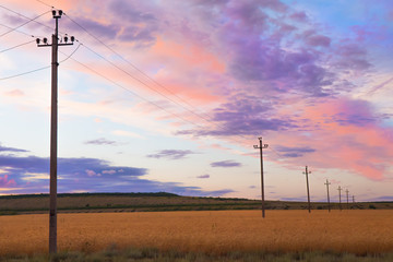 Wall Mural - power line in a field at sunset