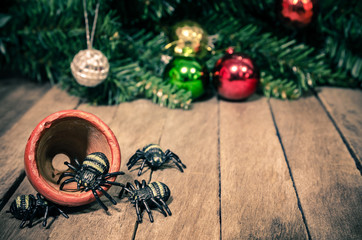 Naughty Halloween Spiders on Wooden Background Texture