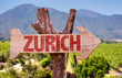 Zurich wooden sign with winery background