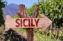 Sicily Wooden Sign With Winery Background