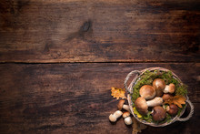 Boletus Mushrooms In A Basket