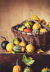 Wall Mural - pumpkin in the old basket