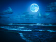 canvas print picture - Beach at midnight with a full moon