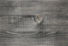 Gray Black Painted Wood