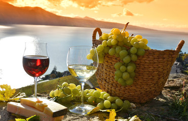 Wine and grapes. Lavaux, Switzerland