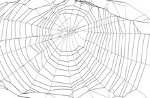 Silhouette Spiderweb