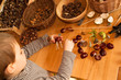 boy creating and playing with chestnuts and acorn toy