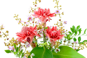 Wall Mural - Flower arrangements with pink torch ginger flowers (Etlingera el