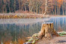 Lonely Old Tree Stump Near The Lake Autumn Landscape