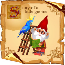Cute Gnome With Parrot Reading A Book