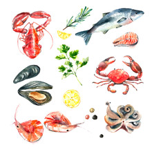 Set Of Seafood Watercolor.