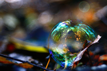 unusual bubble background nature