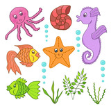 Fototapeta  - Illustration of the sea creatures