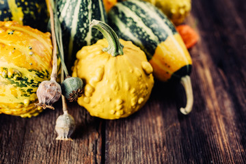 Wall Mural - decorative pumpkins