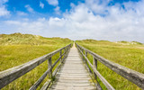 Fototapeta  - Idyllic wooden path in european nort sea dune beach landscape