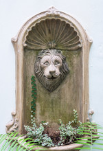 Old Lion Head Fountain
