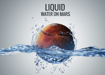 Wall Mural - discovered liquid water on the planet mars, great science