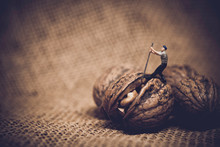 Miniature Worker With A Crowbar Trying To Open A Walnut