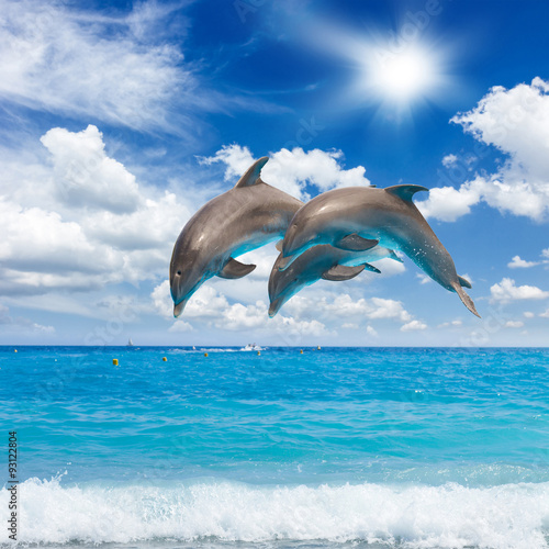 three  jumping dolphins