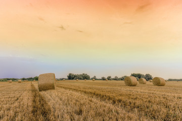 Wall Mural - Straw bales with dramatic sky