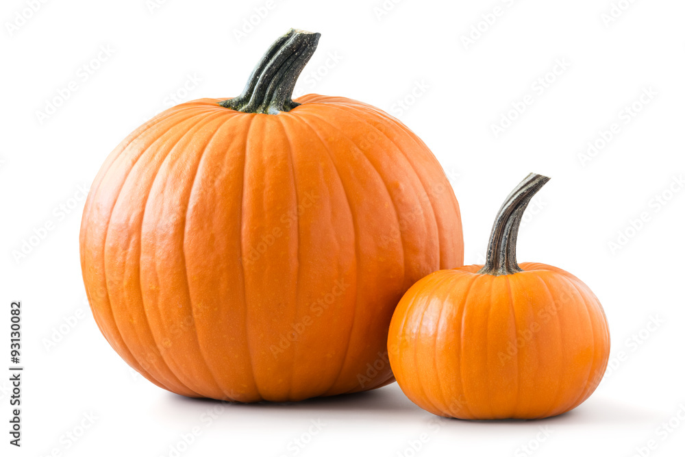 Two pumpkins isolated on white background - obrazy, fototapety, plakaty 