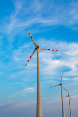 Windmills on the field