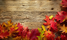 Autumn Leaves On A Wooden Table. Background Style