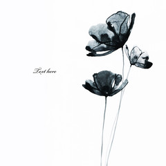illustration of flowers in watercolor paintings on the white background. hand painted illustration